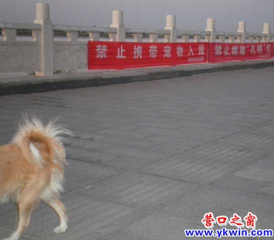 禁止攜帶寵物入園