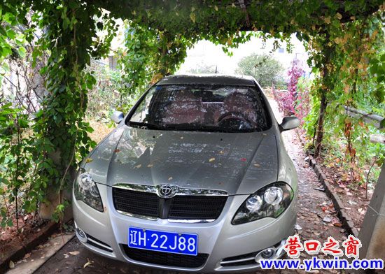 葡萄架下的“簡易車庫”