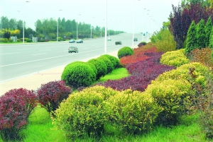 秋色 為季節(jié)謳歌