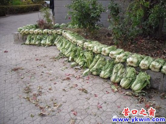 1037735_1288855327Vk64_副本