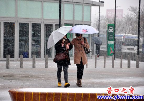 雪中“眾生相”