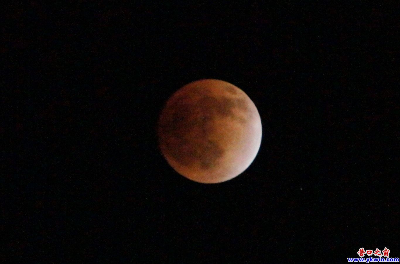 紅月亮