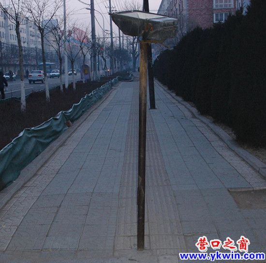 281_15925_0ebb3c457a2ed59_副本