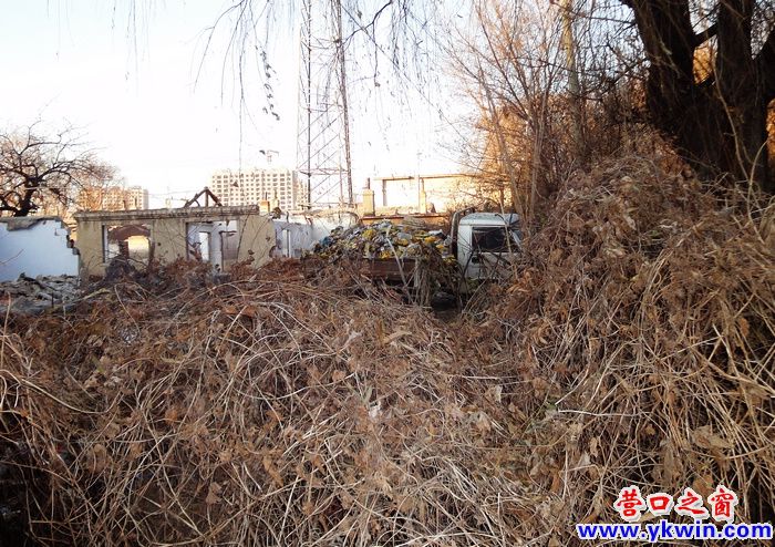 廢墟不是垃圾場(chǎng)