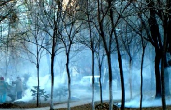 露天焚燒垃圾應(yīng)遠(yuǎn)離公共場(chǎng)所