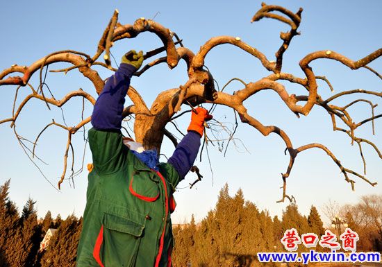 -13℃，有道美麗的風(fēng)景線