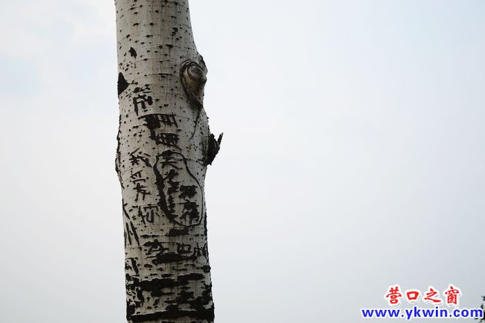 刻了誰的骨 銘了誰的心