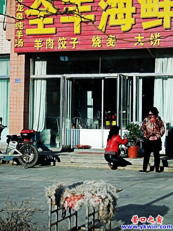 羊皮做‘幌’實(shí)在血腥！