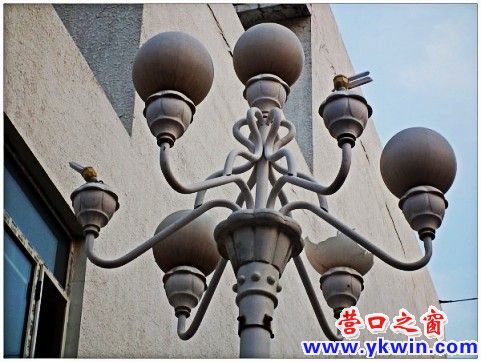 conew_dscf8583_conew1