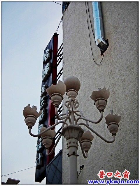 conew_dscf8586_conew1