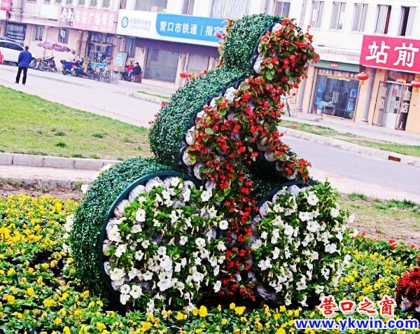 conew_IMG_0610_conew1