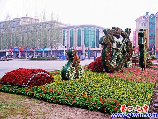 conew_img_0616_conew1