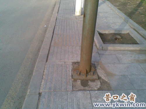 20120426(005)_conew1