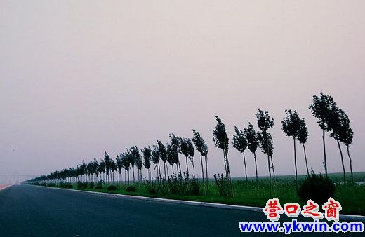 281_144691_16f628b480f386d