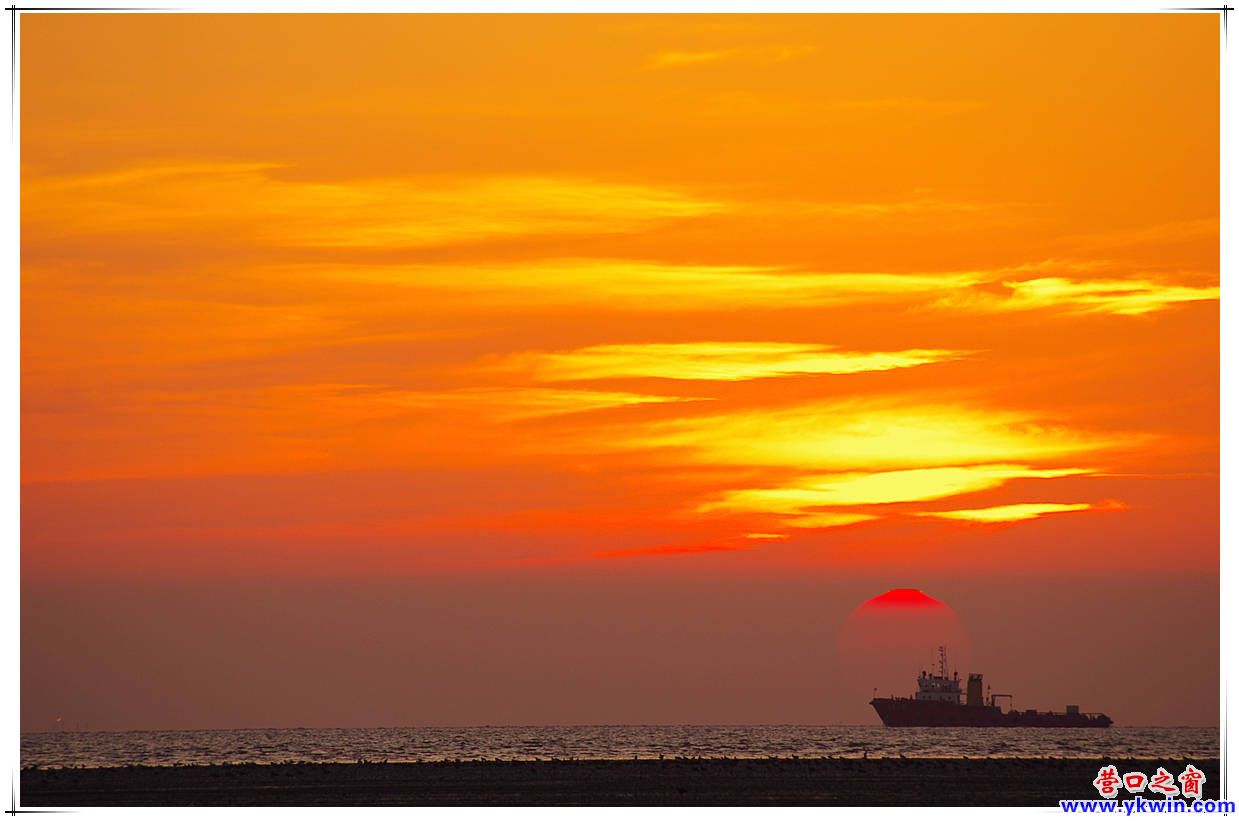 IMGP2395_副本_副本