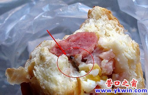 4487fc4243e80ebec7bb1e