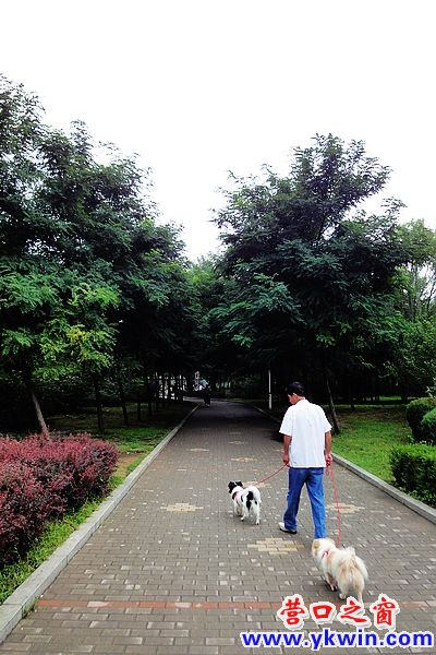 281_144691_091fcc7667ac9a5