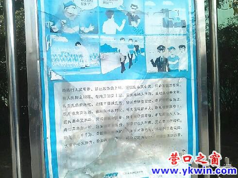 608c081cjw1dxvx9qtrtaj_副本_副本