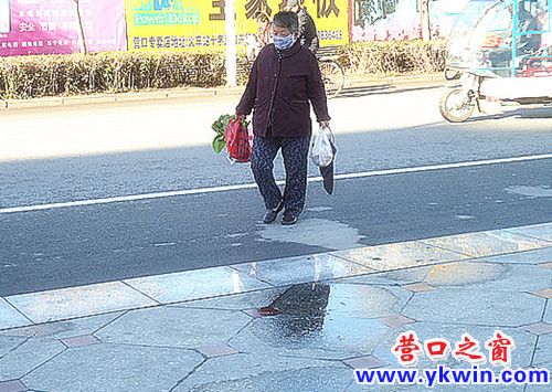 DSC09543_副本_副本