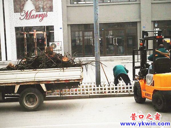 608c081cjw1dygpy87nw7j_副本