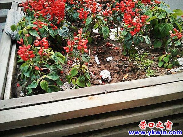 608c081cjw1dyk33ay3n4j_副本