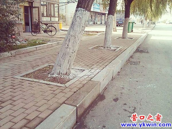 608c081cjw1dymfqhgenkj_副本