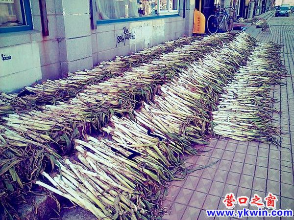 608c081cjw1dz1kxspcamj_副本