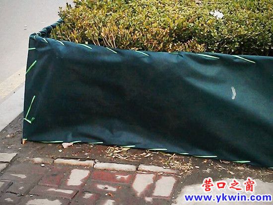 608c081cjw1dz2o0r8ospj_副本