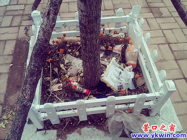 608c081cjw1dz8e6h4znlj_副本