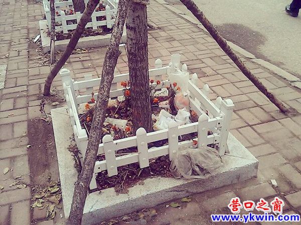 608c081cjw1dz8e7nnzpxj_副本