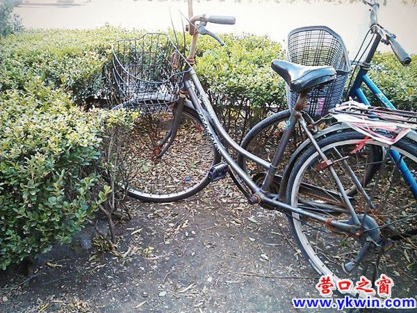 608c081cjw1dzbmoooflcj_副本