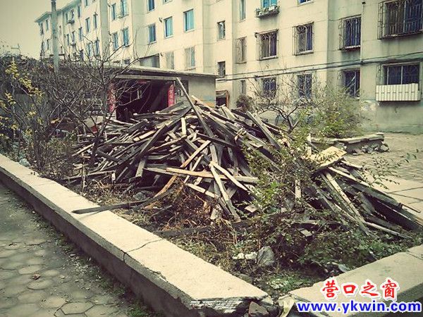 608c081cjw1dzcwh164j2j_副本