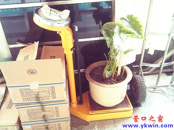 608c081cjw1dzoml3sii3j_副本