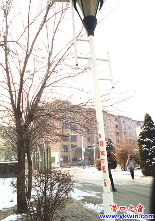 DSC00179_副本_副本