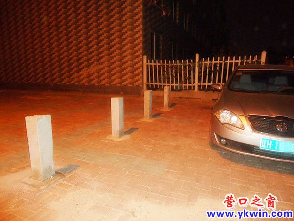 DSC09954_副本_副本