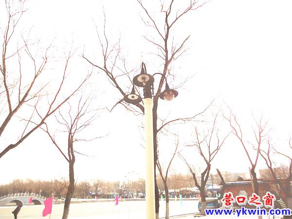 DSC00308_副本_副本