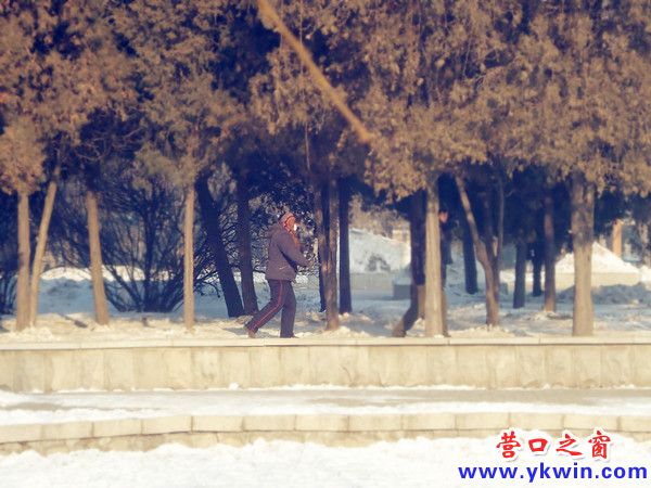 DSC00449_副本_副本