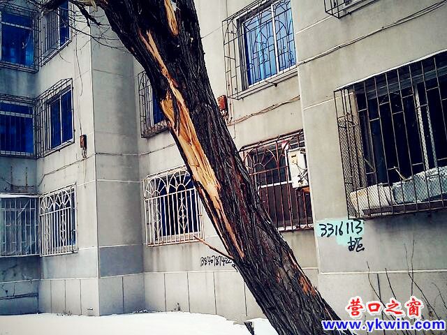 608c081cjw1e0qu7fka2mj_副本