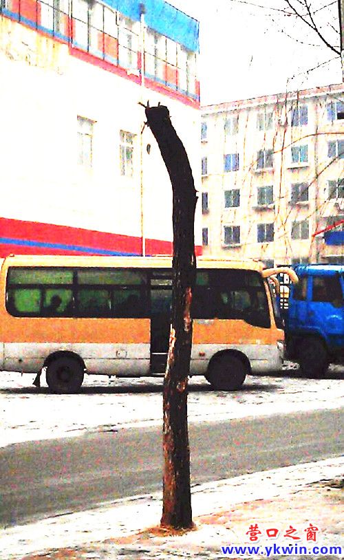 c0287a07jw1e1eukks8stj_副本