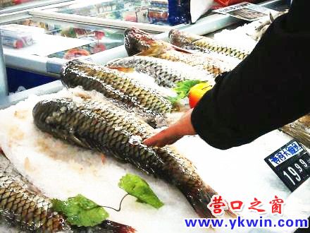 c0287a07jw1e1lvumydubj_副本