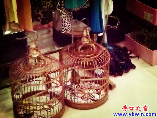 c0287a07jw1e224k24ltxj_副本