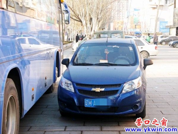 conew_img_2558_conew1