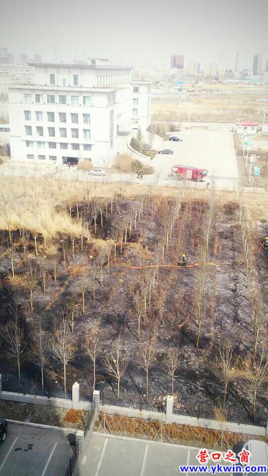 c0287a07jw1e3kl8urcg8j