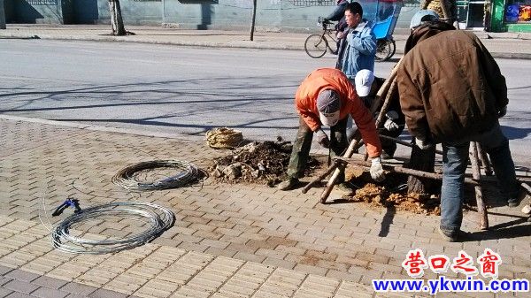 conew_img_20130414_081106