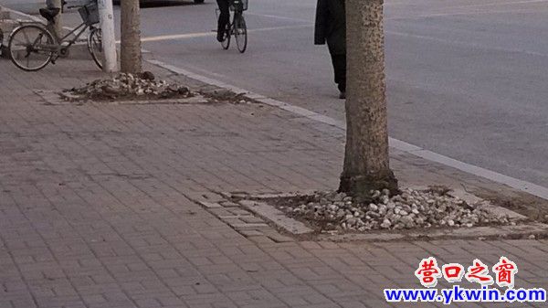 conew_img_20130416_172103