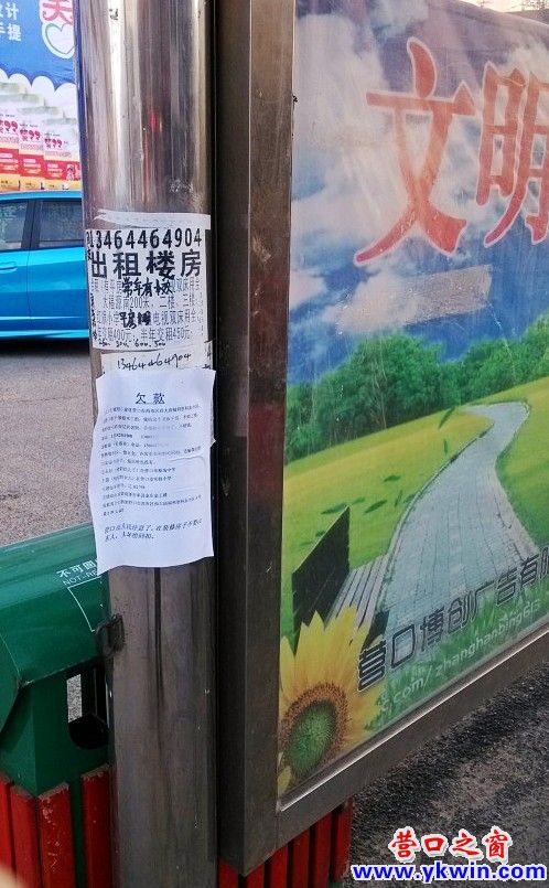 conew_img_20130418_174113_conew1