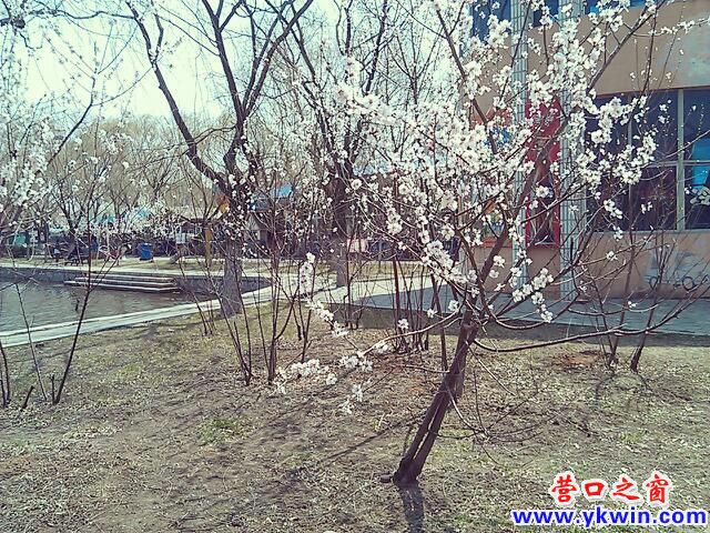 c0287a07jw1e4313v3wkrj20hs0dcq6a