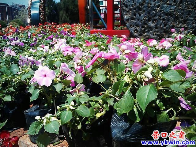 c0287a07jw1e4gtltjc74j20hs0dcdic