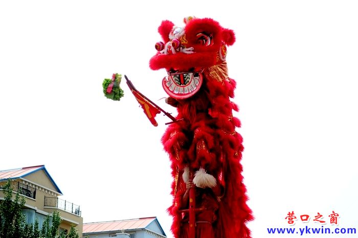 8183_32e513146794313f0030f25e31f56