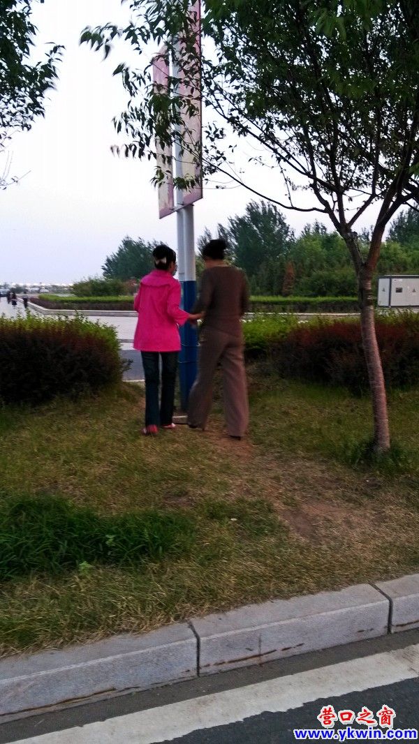 conew_img_20130531_191224